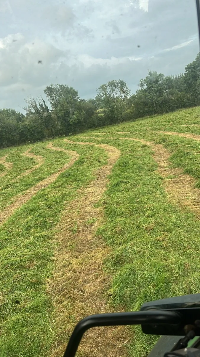 Top quality silage - Image 3