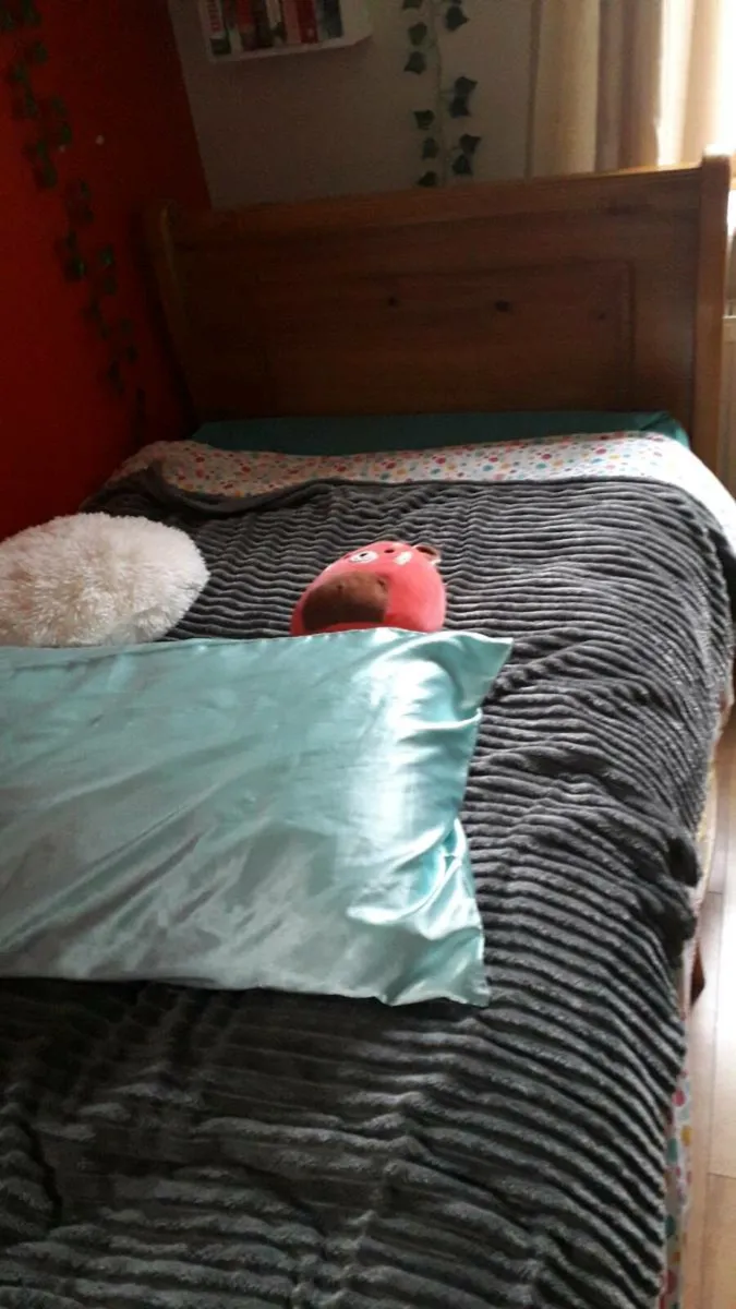 Single Bed frame - Free - Image 4