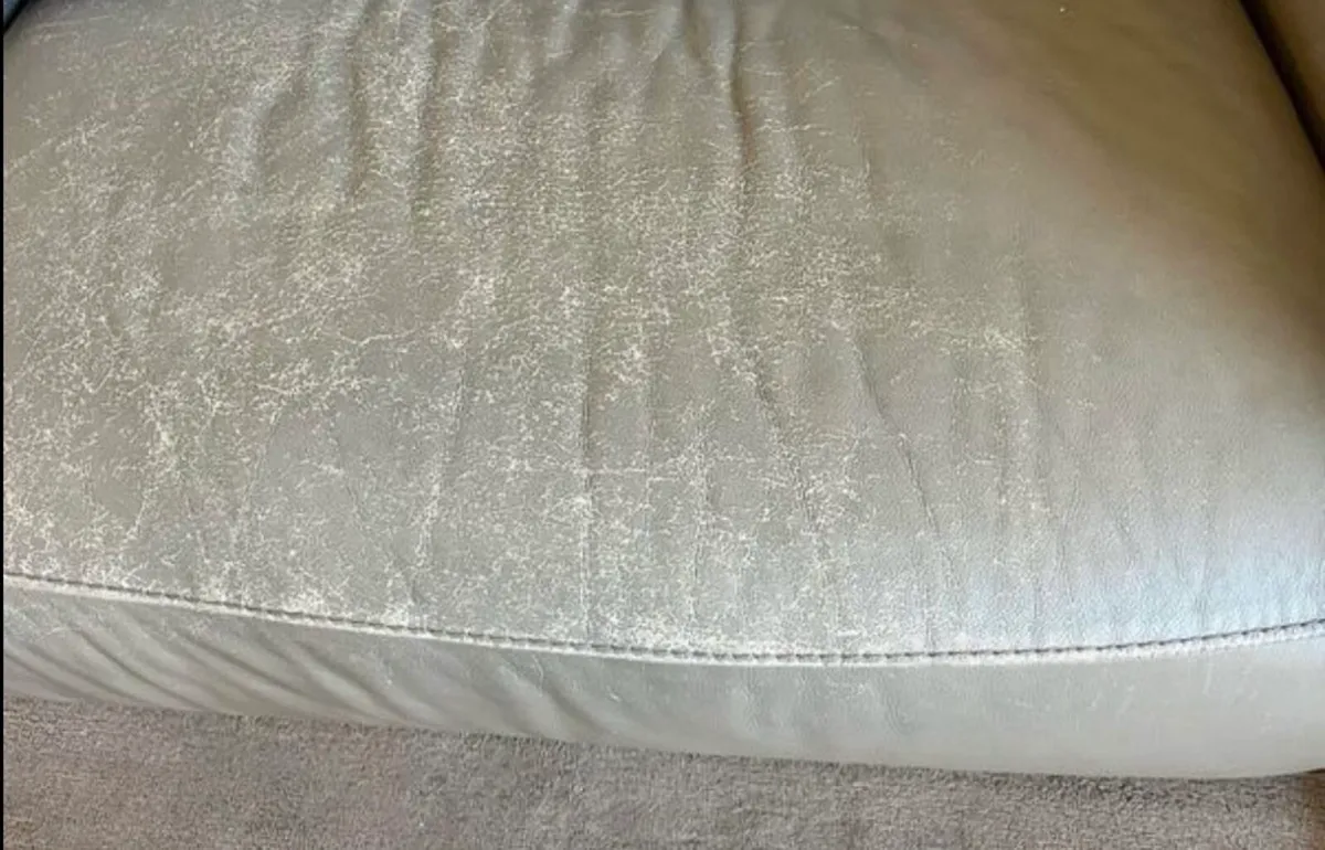 FREE DFS Leather 3 seater sofa - Image 3