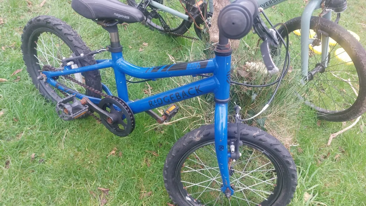 Kids bike (Ridgeback 14 inch) - Image 1