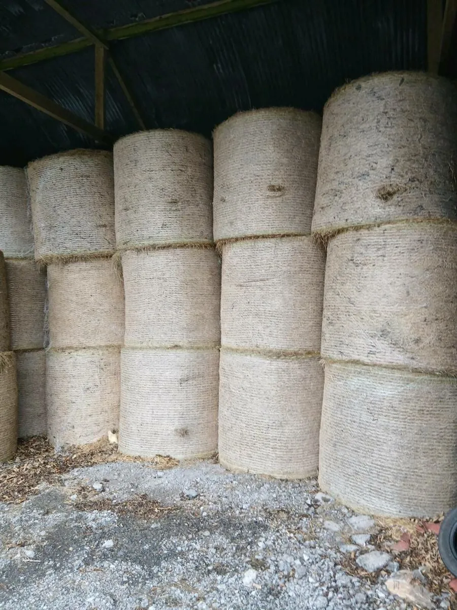 Hay  and Silage  for sale - Image 1