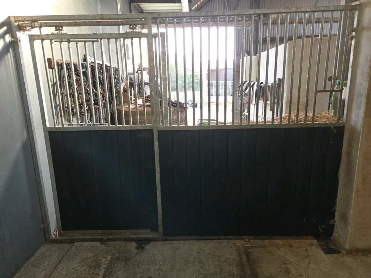 Stable door/Front partition - Image 2