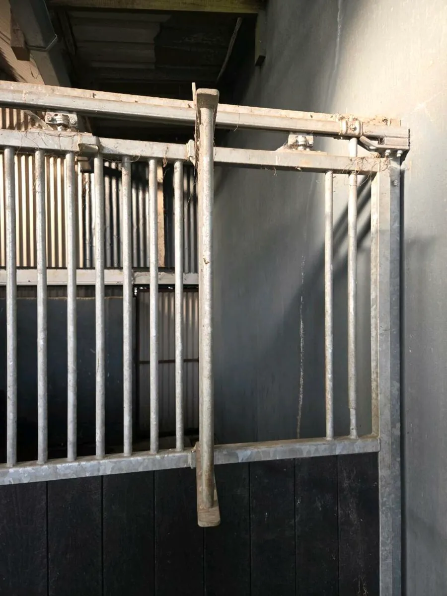 Stable door/Front partition - Image 4