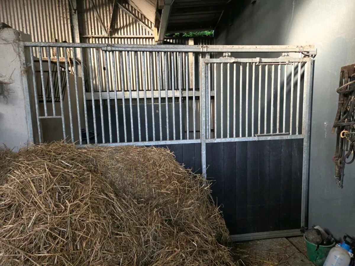 Stable door/Front partition - Image 1