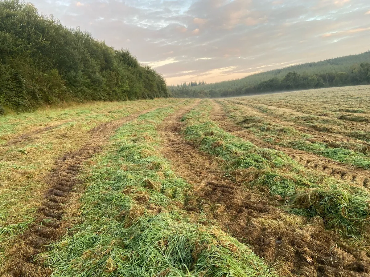 45/50 bales …. - Image 3
