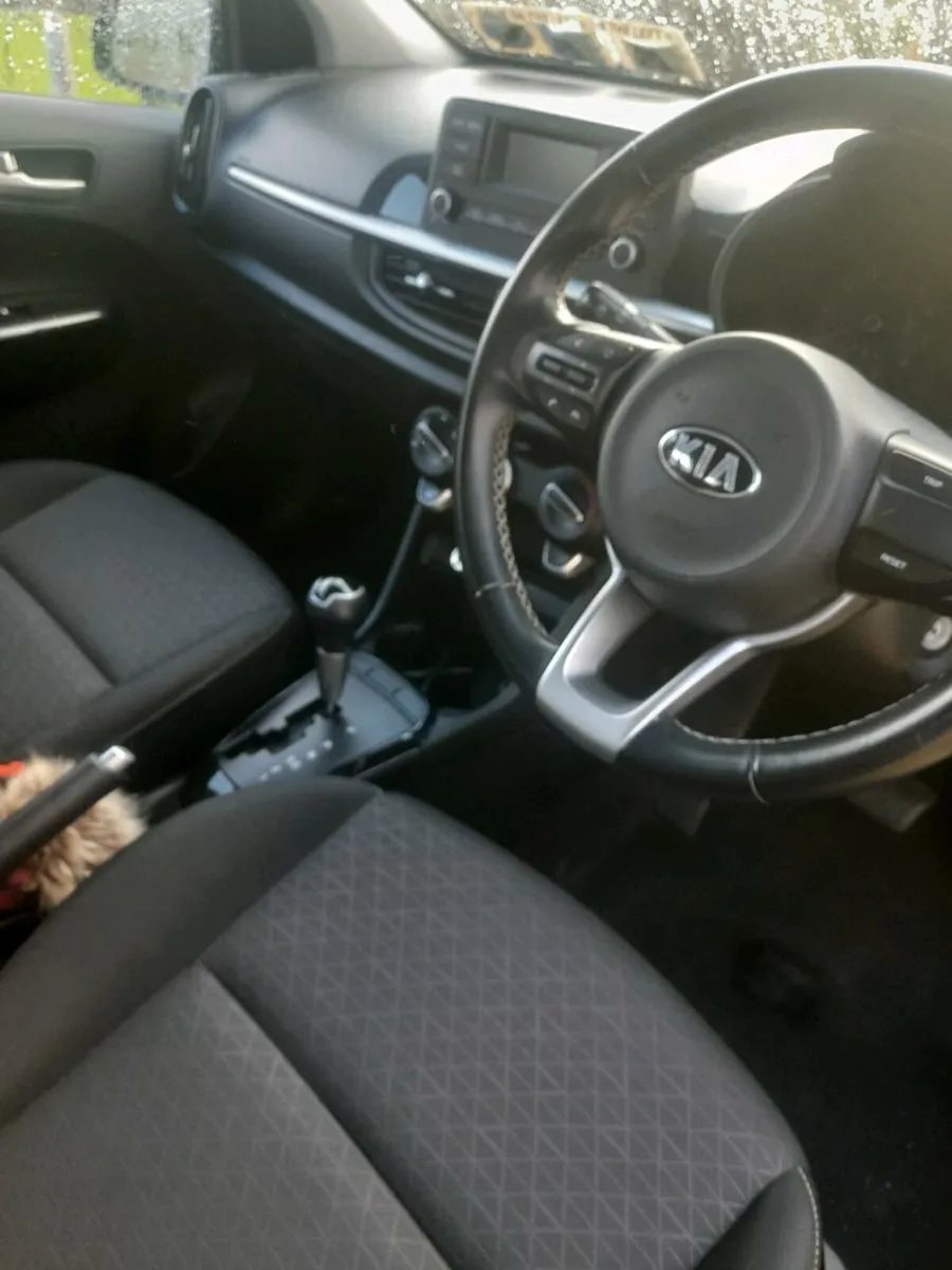 Kia picanto 1.2  auto  auto - Image 3