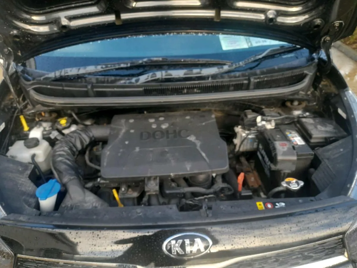 Kia picanto 1.2  auto  auto - Image 4