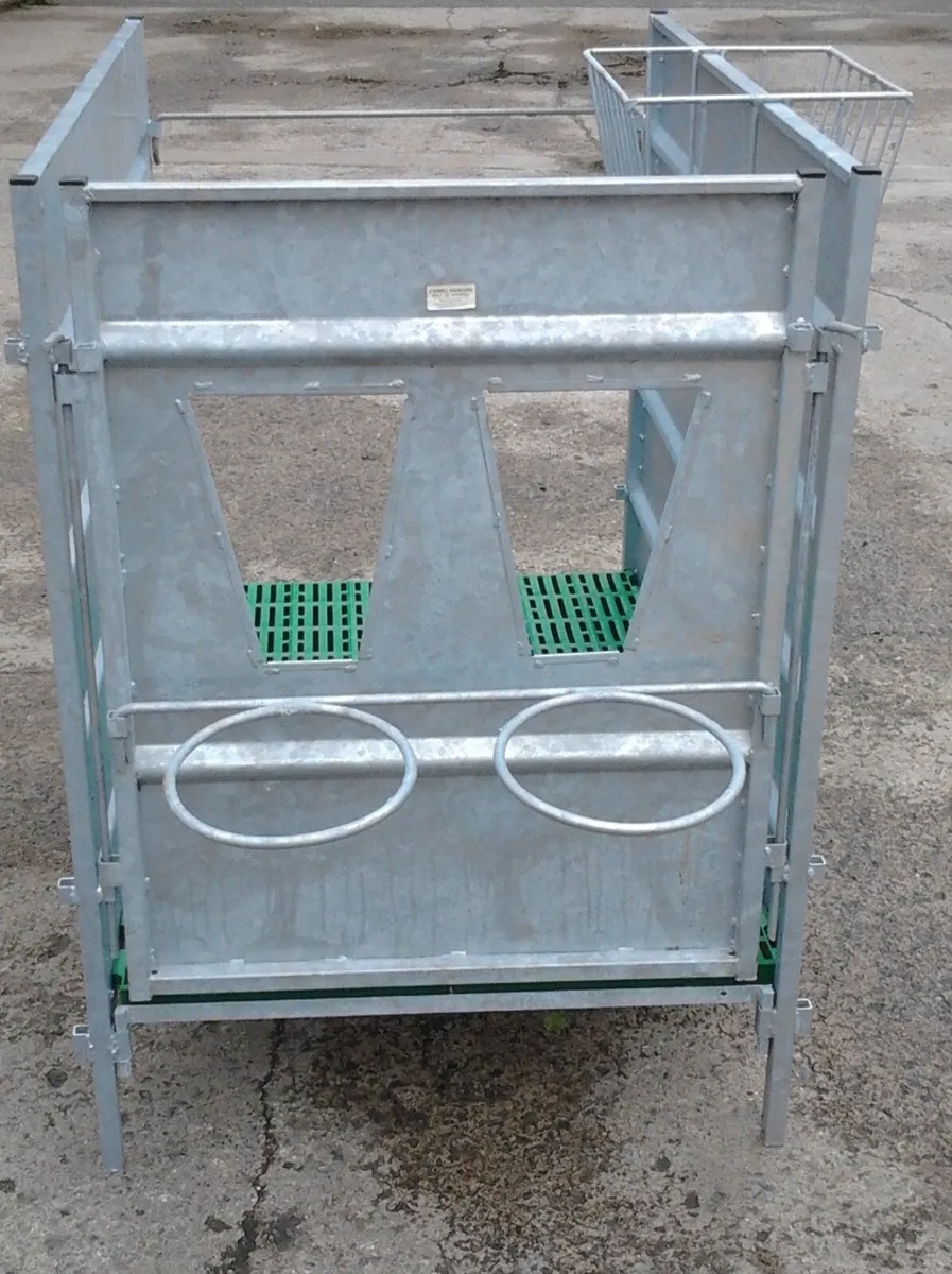 **wanted calf pens**