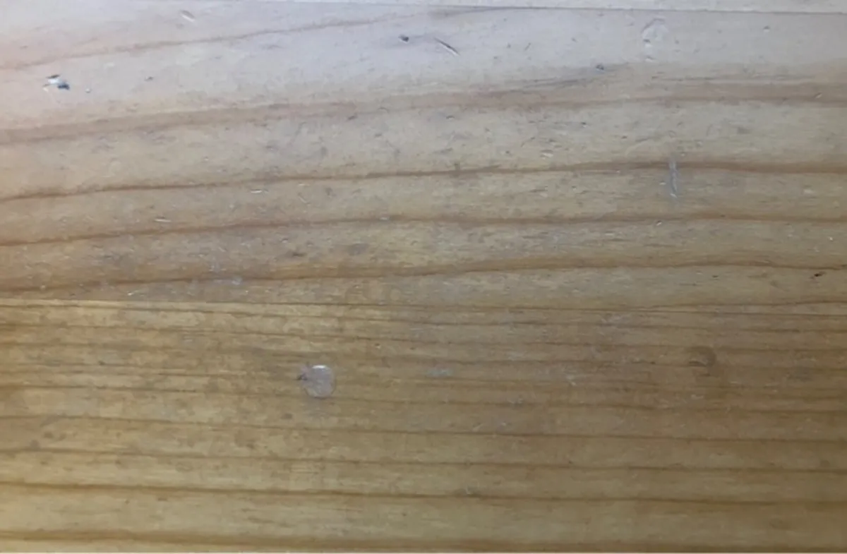 2 Drawer Unit - Image 3