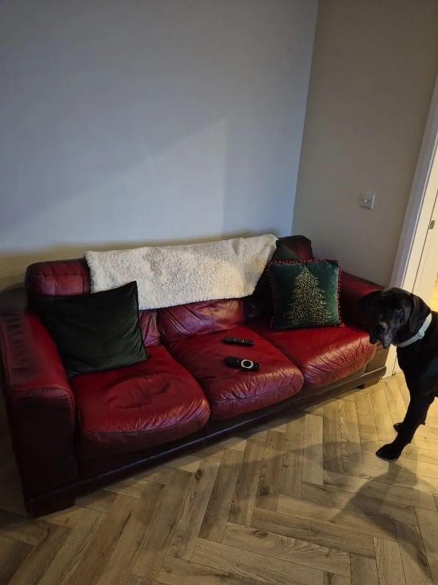 Sofa for Home - Image 2