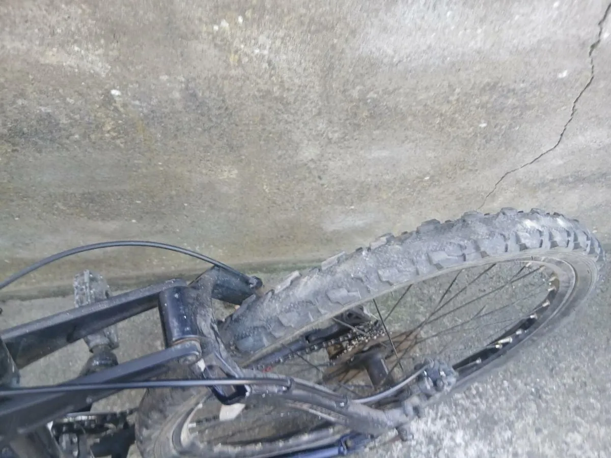 Carrera banshee mtb for sale - Image 1