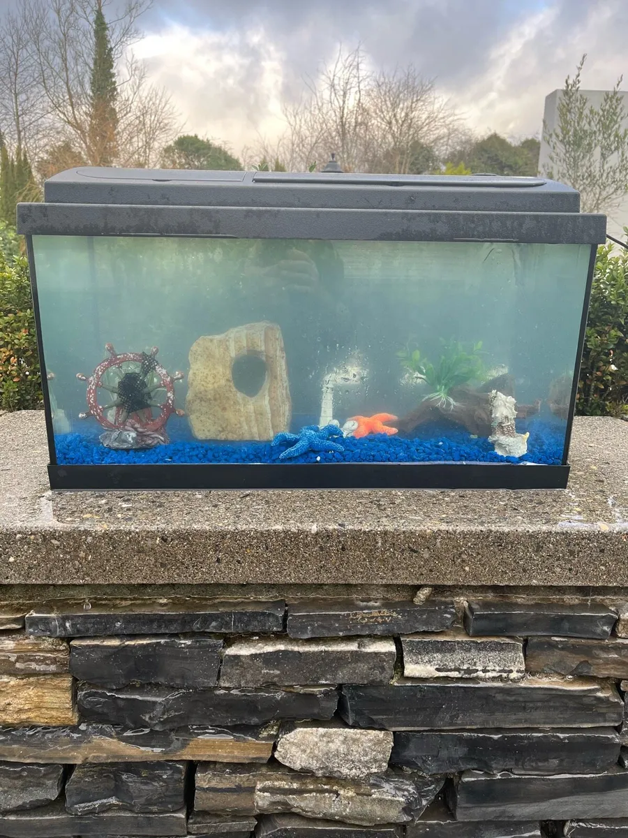 Fish tank - Image 1