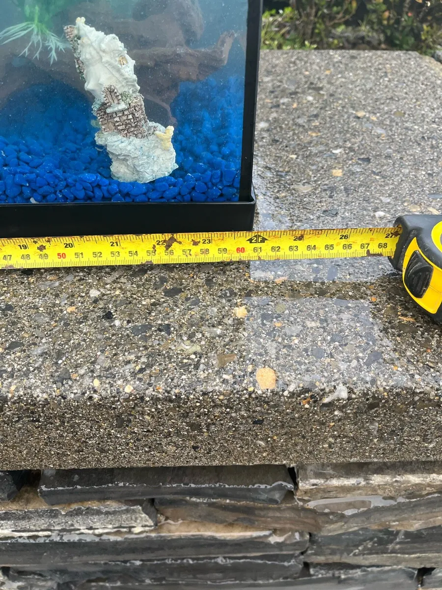 Fish tank - Image 2