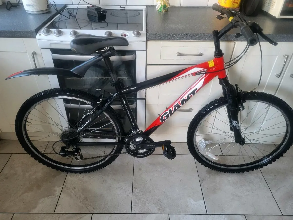 Mountain bike - Image 1