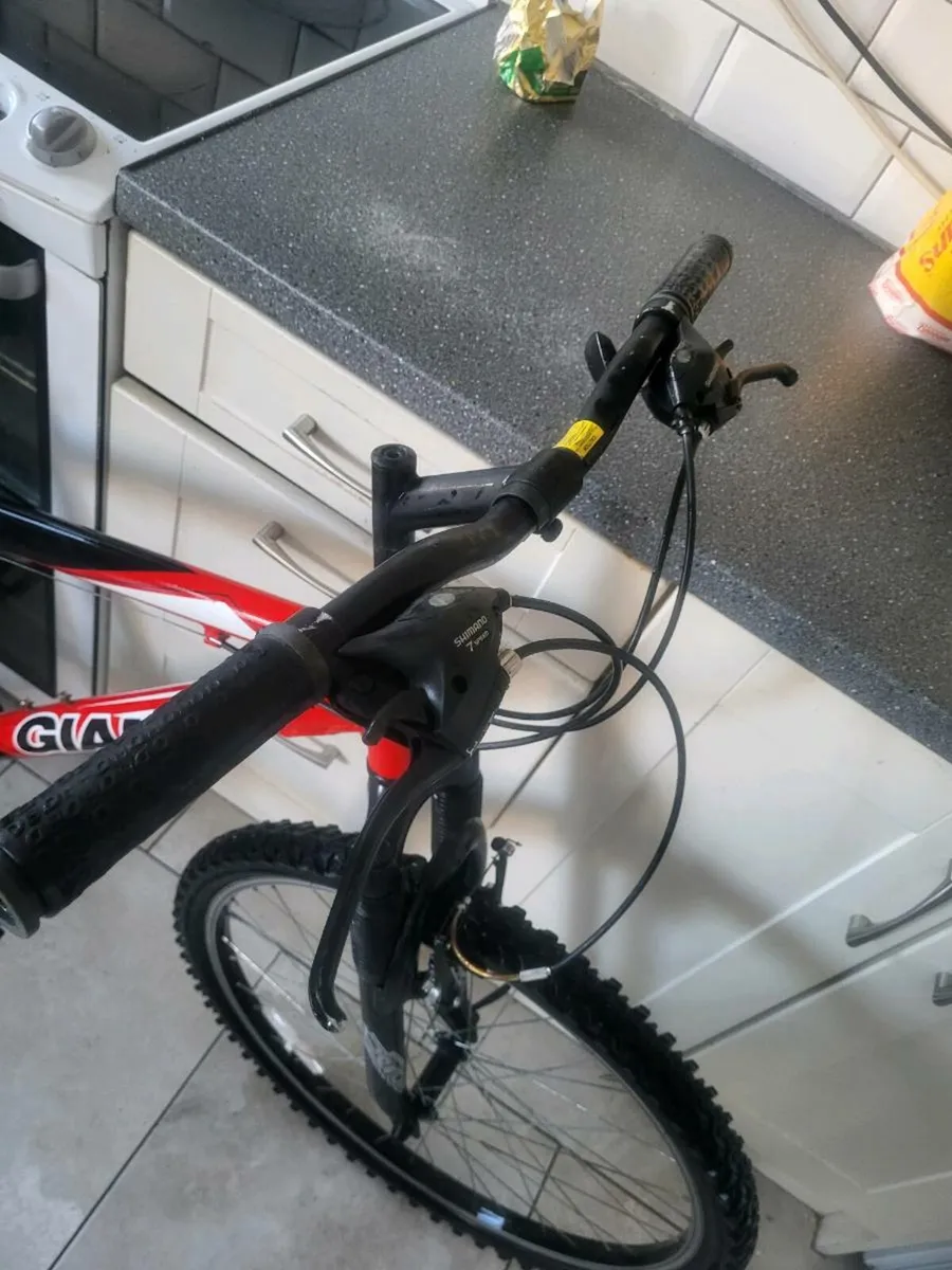 Mountain bike - Image 2