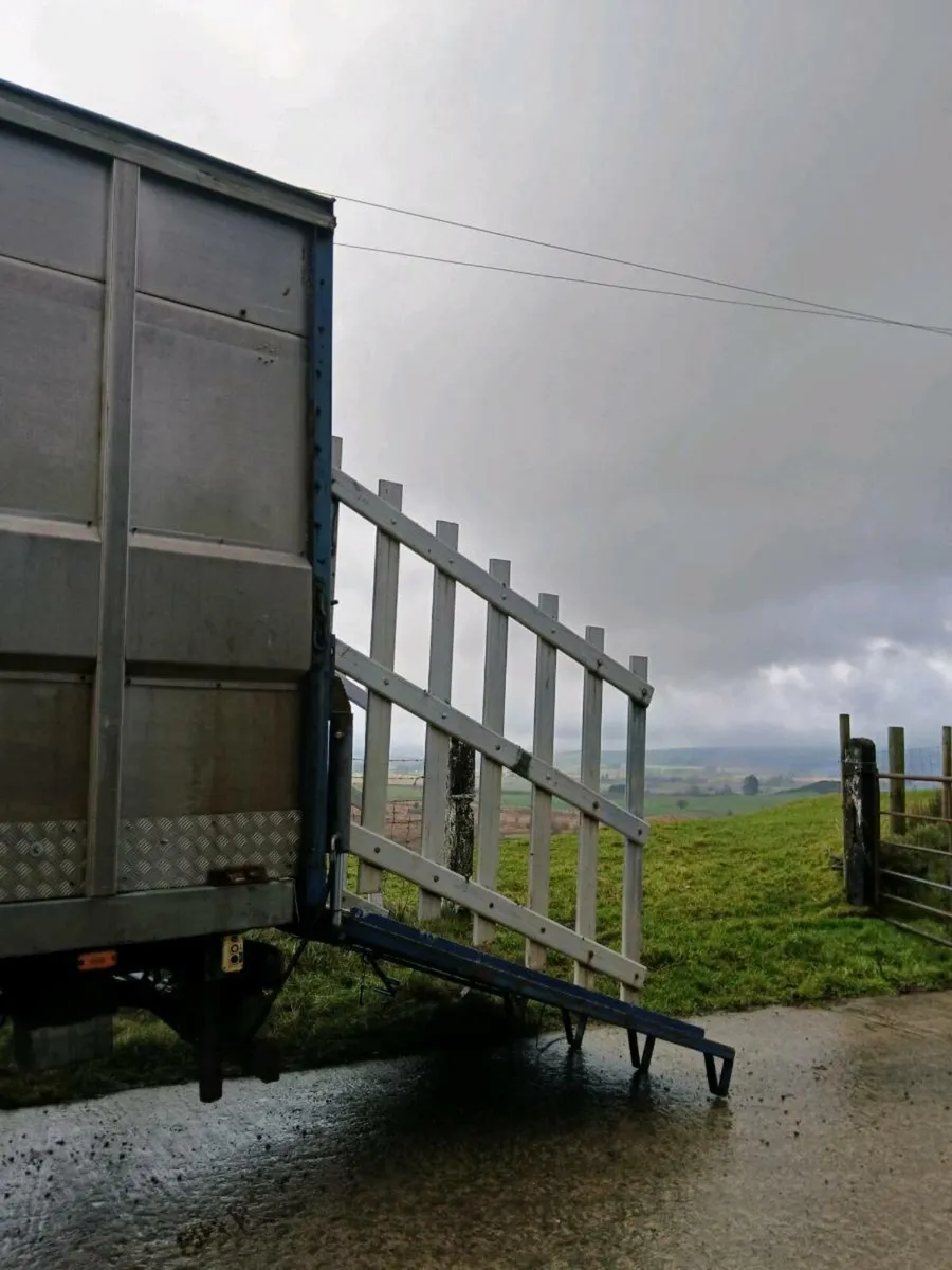 Livestock haulage - Image 4