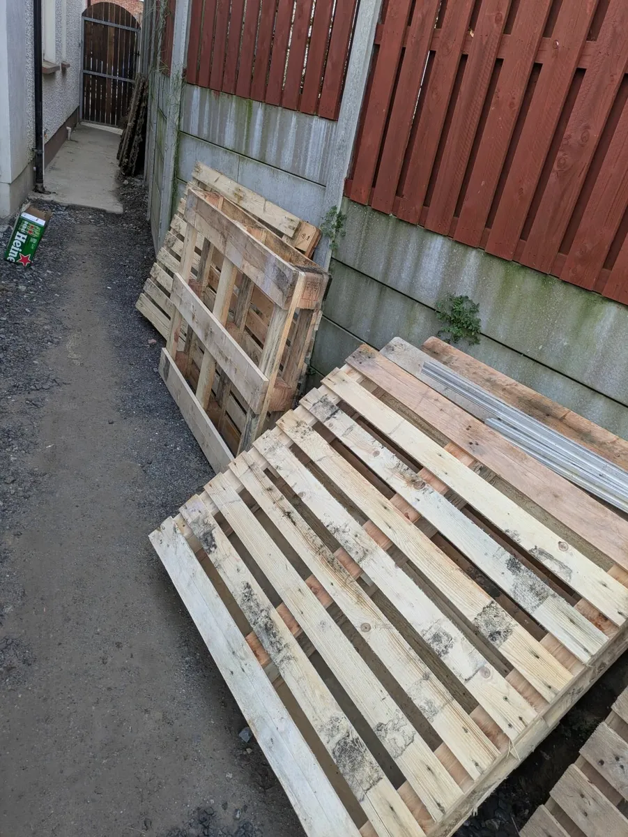 FREE to go: Pallets x 6 - Image 1