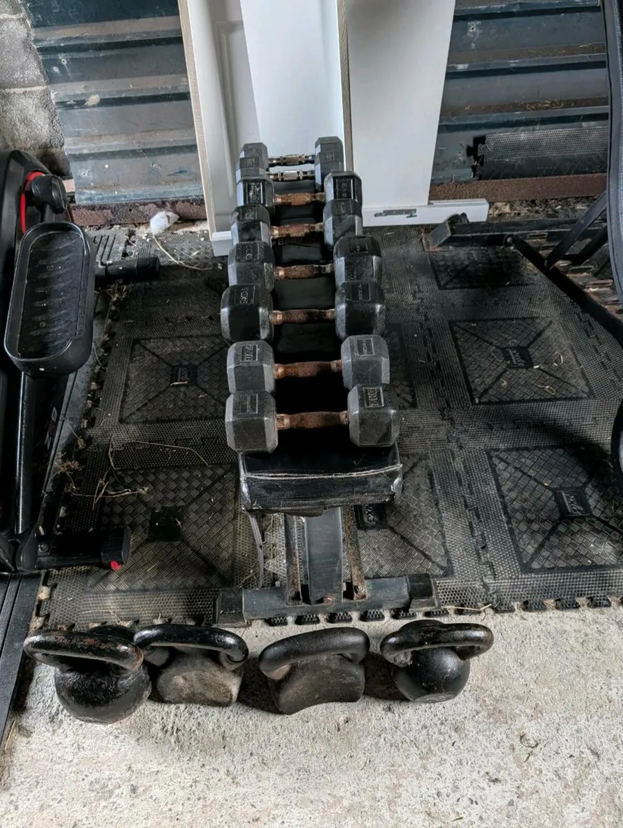 Gym and house hold - Image 3