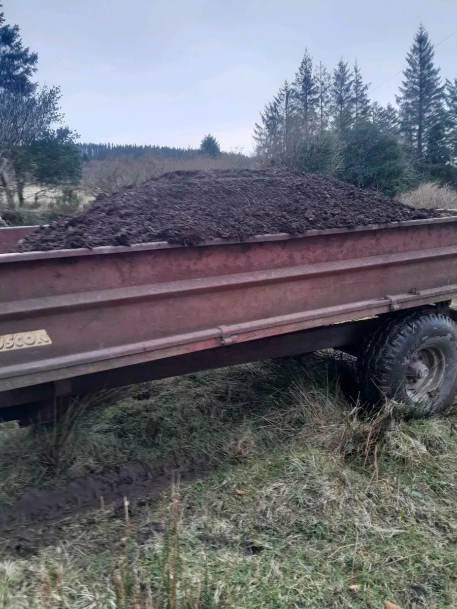 Mushroom compost - Image 4