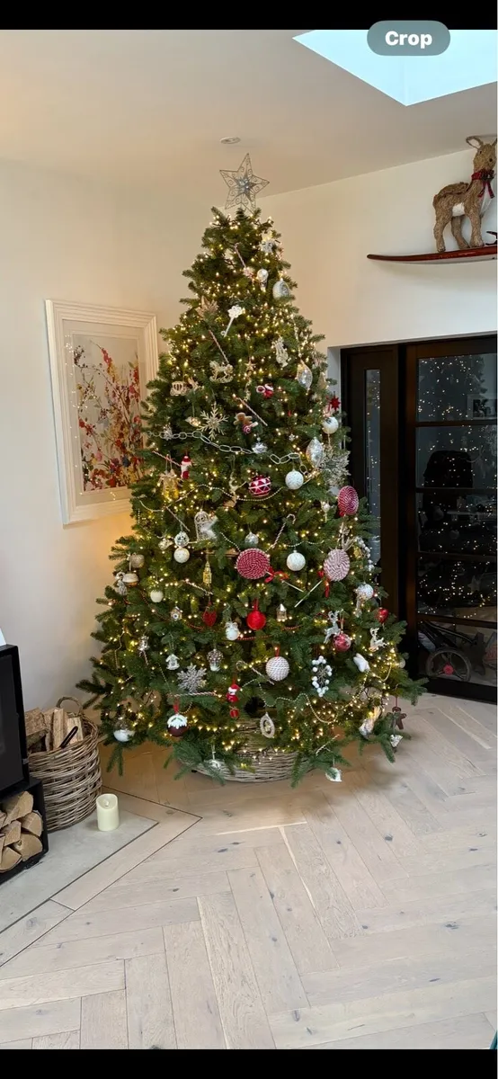 Christmas tree - Image 1
