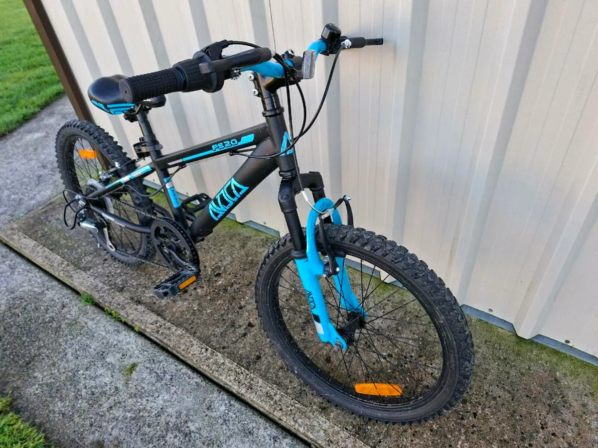 20 inch Bike - Image 2