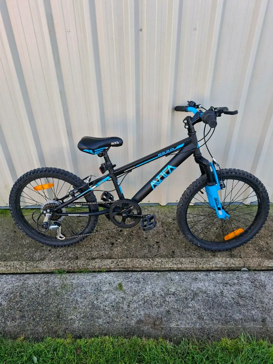 20 inch Bike - Image 3