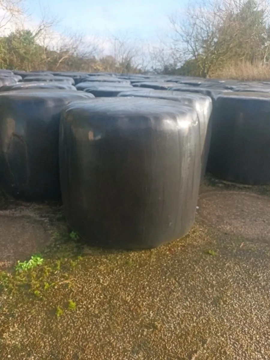 Silage bales - Image 3