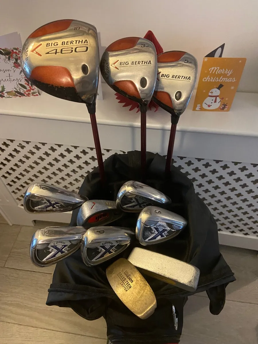 Ladies Golf Clubs - Image 1