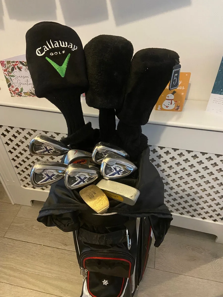 Ladies Golf Clubs - Image 2