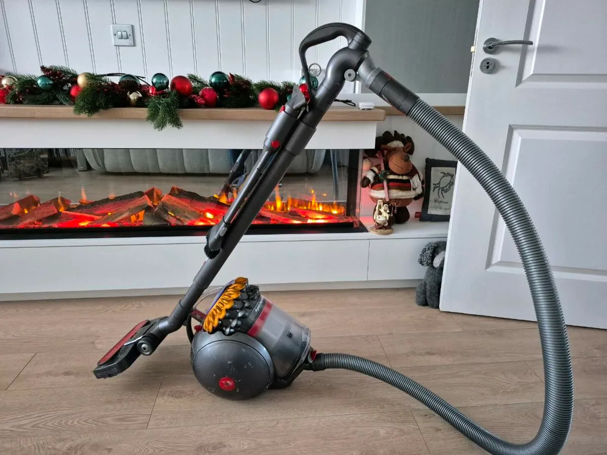 Dyson Hoover Big Ball Animal 2 - Image 1