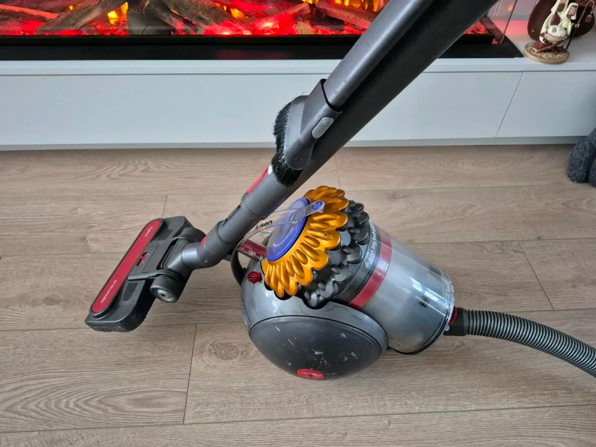 Dyson Hoover Big Ball Animal 2 - Image 2