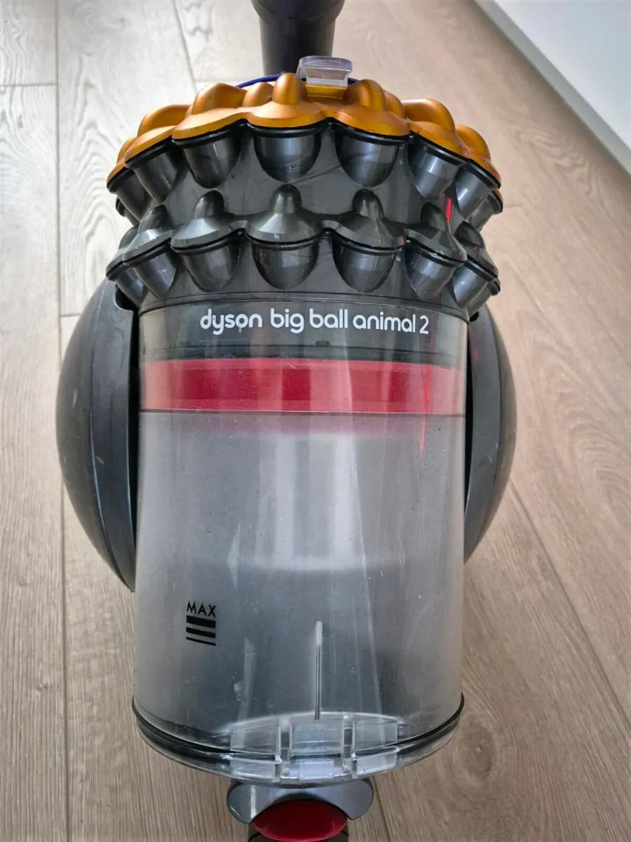 Dyson Hoover Big Ball Animal 2 - Image 3