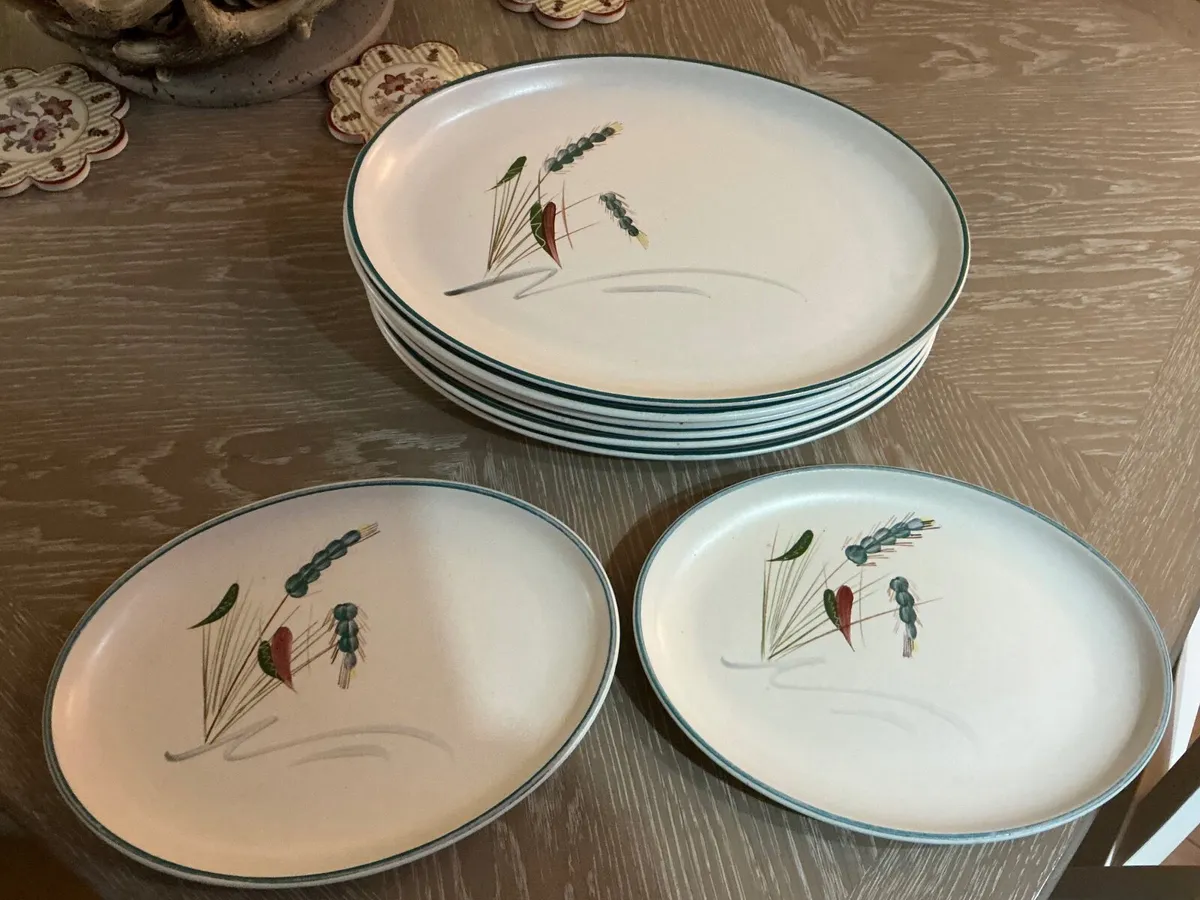 6 denby greenwheat oval steak plates 2 small oval