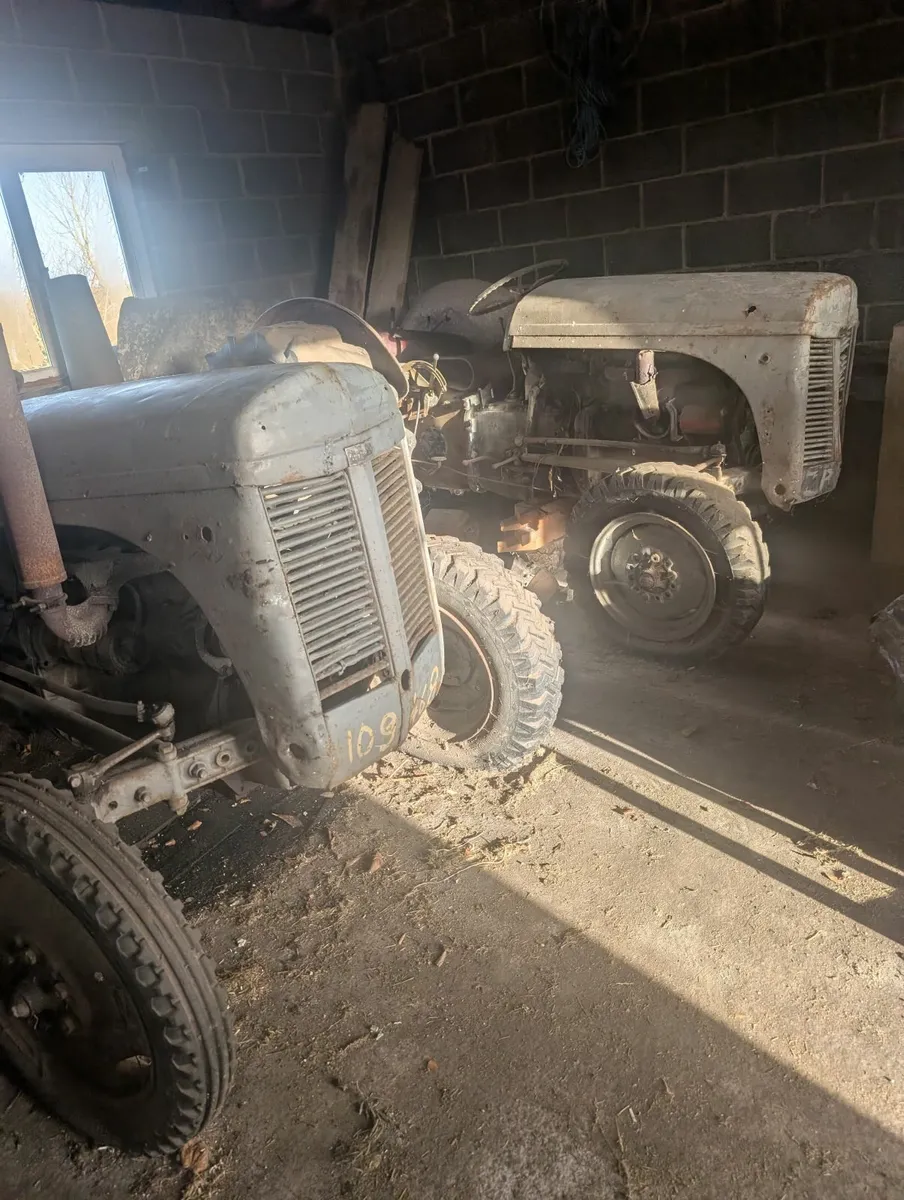 Two Ferguson TEF-20 Diesel Tractors (1953 & 1955) - Image 1