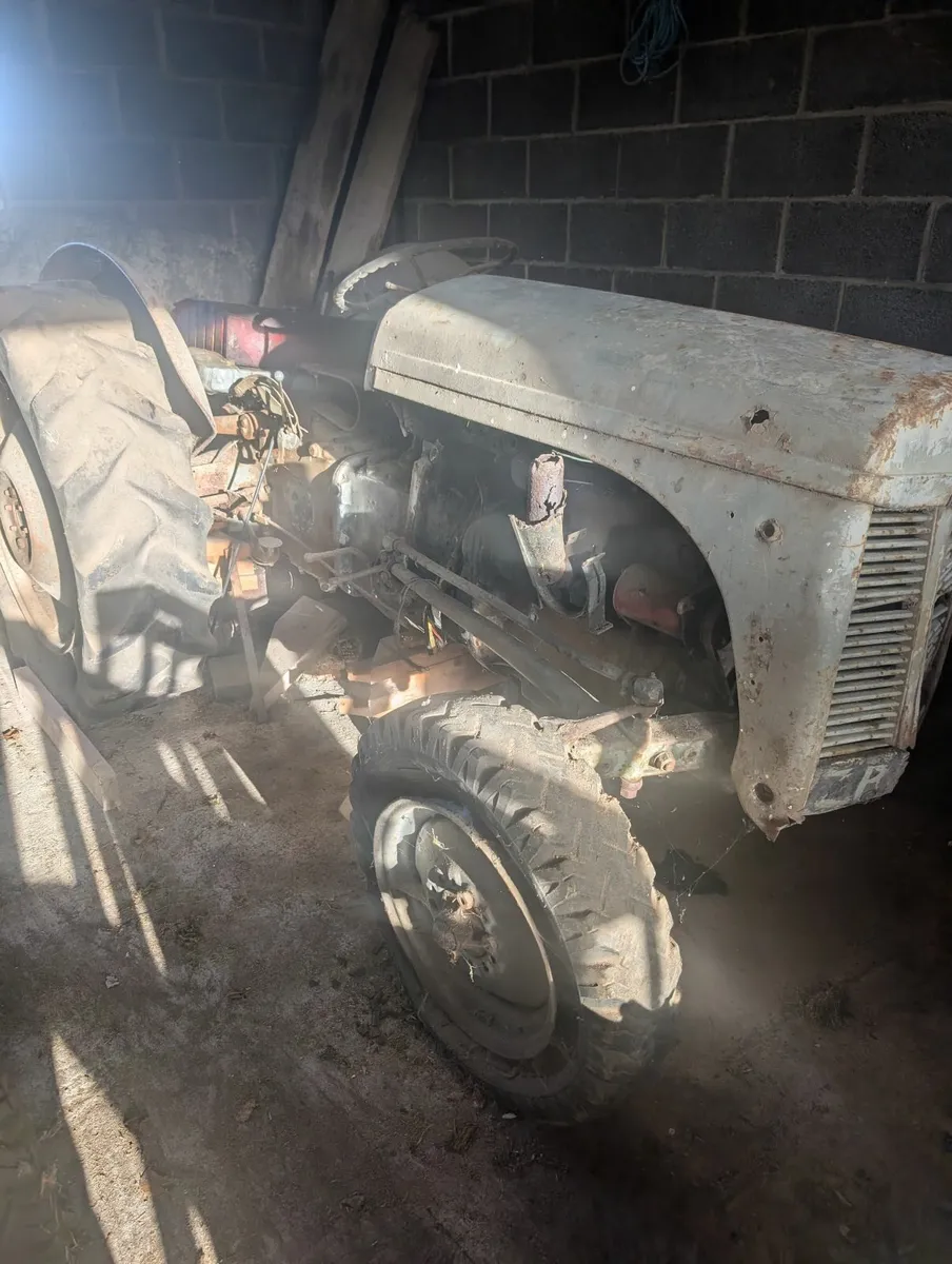 Two Ferguson TEF-20 Diesel Tractors (1953 & 1955) - Image 3