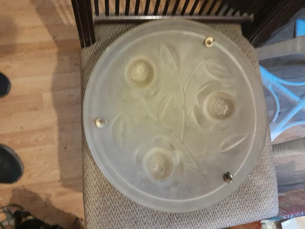 Nice frosted light shade - Image 1