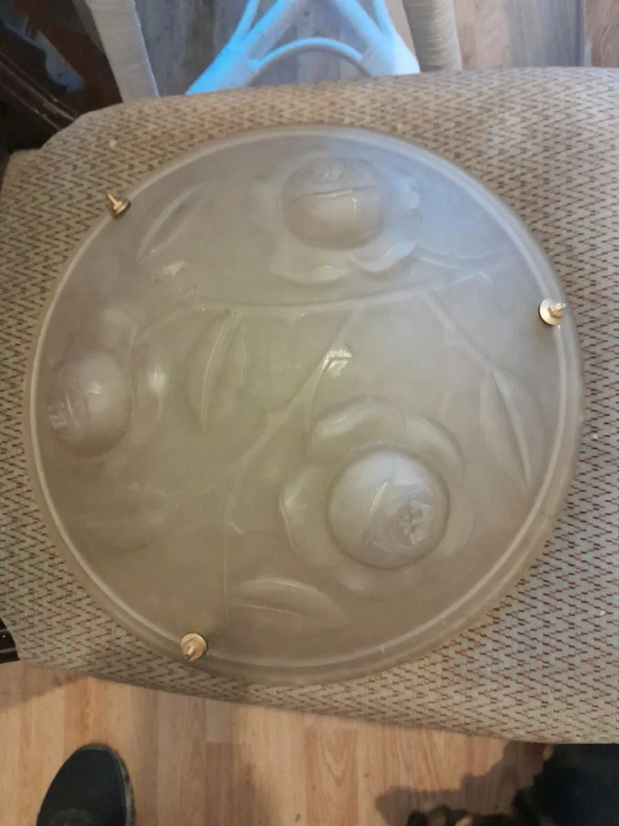 Nice frosted light shade - Image 3