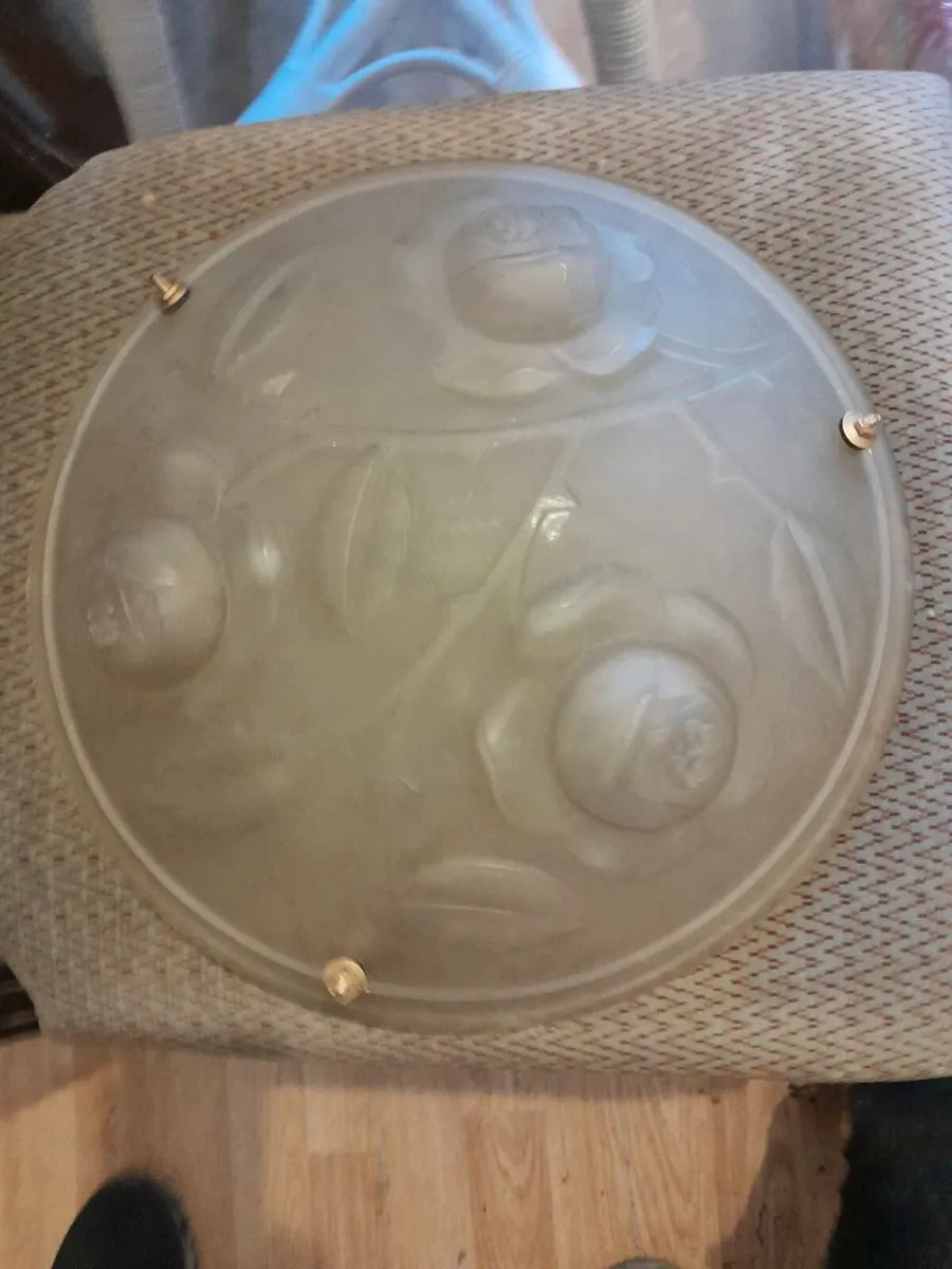 Nice frosted light shade - Image 4