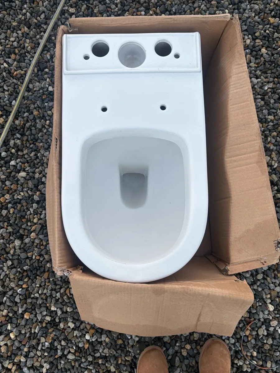 Toilet and cistern - Image 1