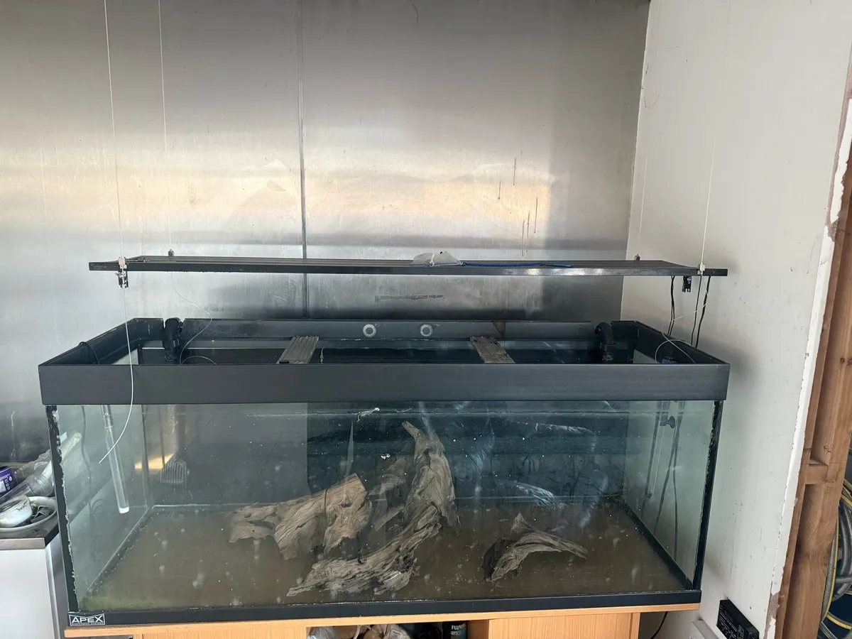 Tank Fish set - Image 2