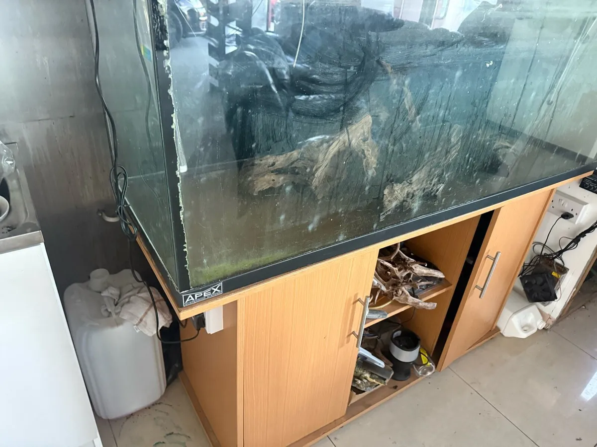 Tank Fish set - Image 3