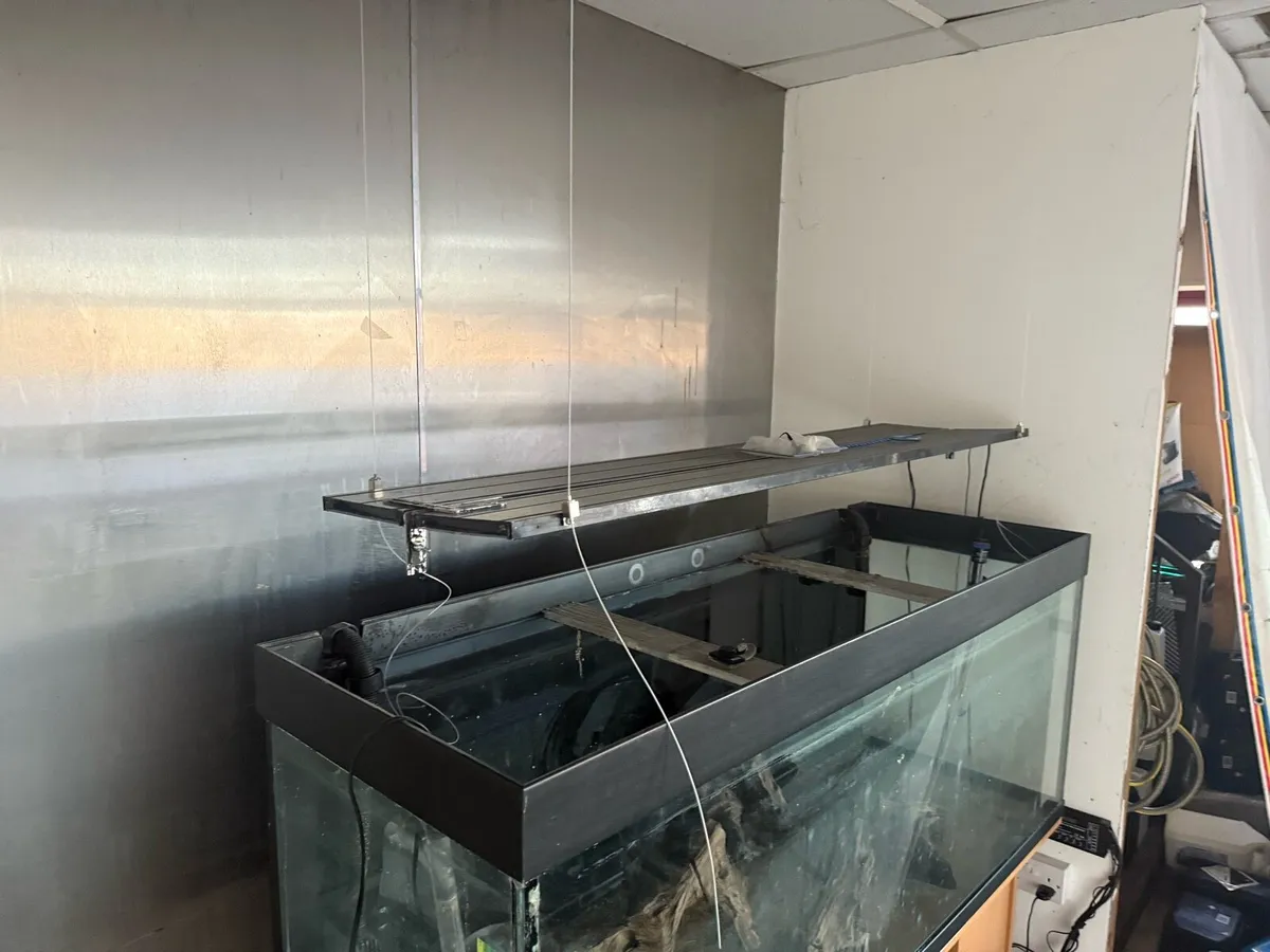 Tank Fish set - Image 4