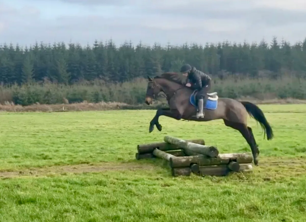 Super allrounder - Image 2