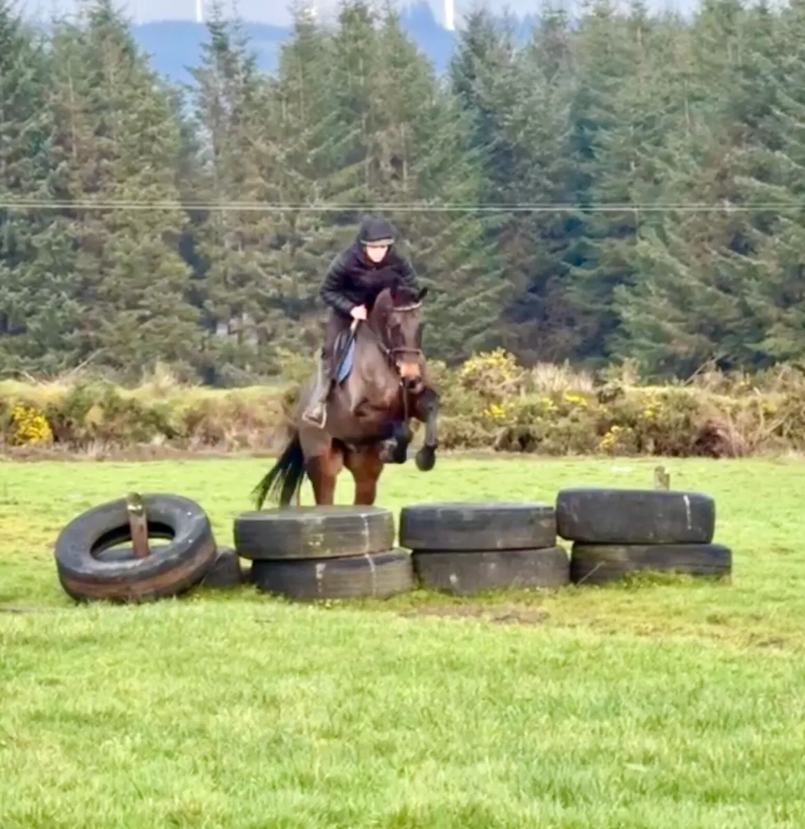 Super allrounder - Image 3