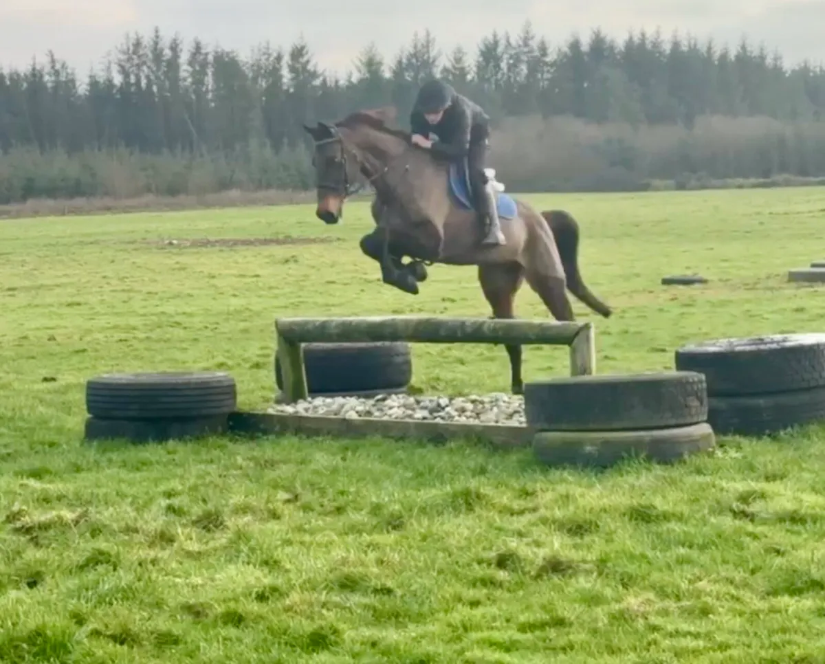 Super allrounder - Image 4