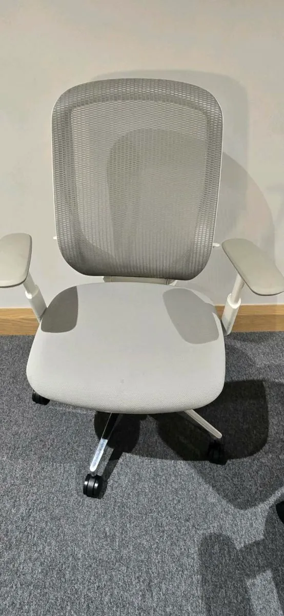 Okamura Sylphy - Image 1