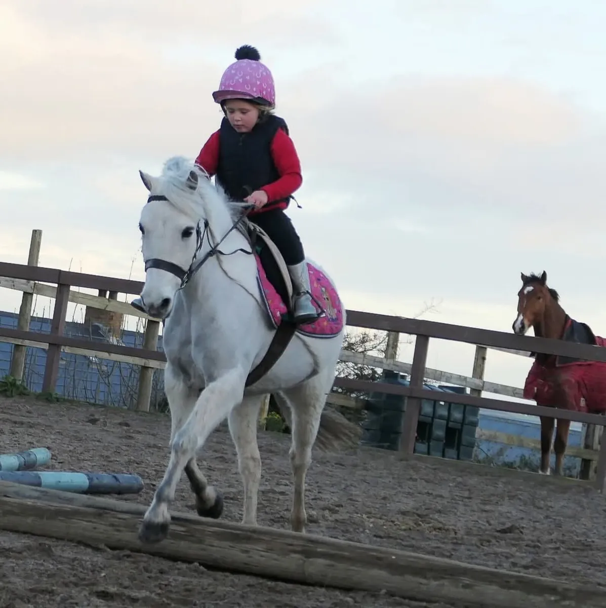 12 1hh 12 yro superstar - Image 1