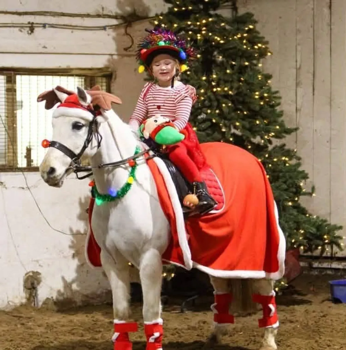 12 1hh 12 yro superstar - Image 2