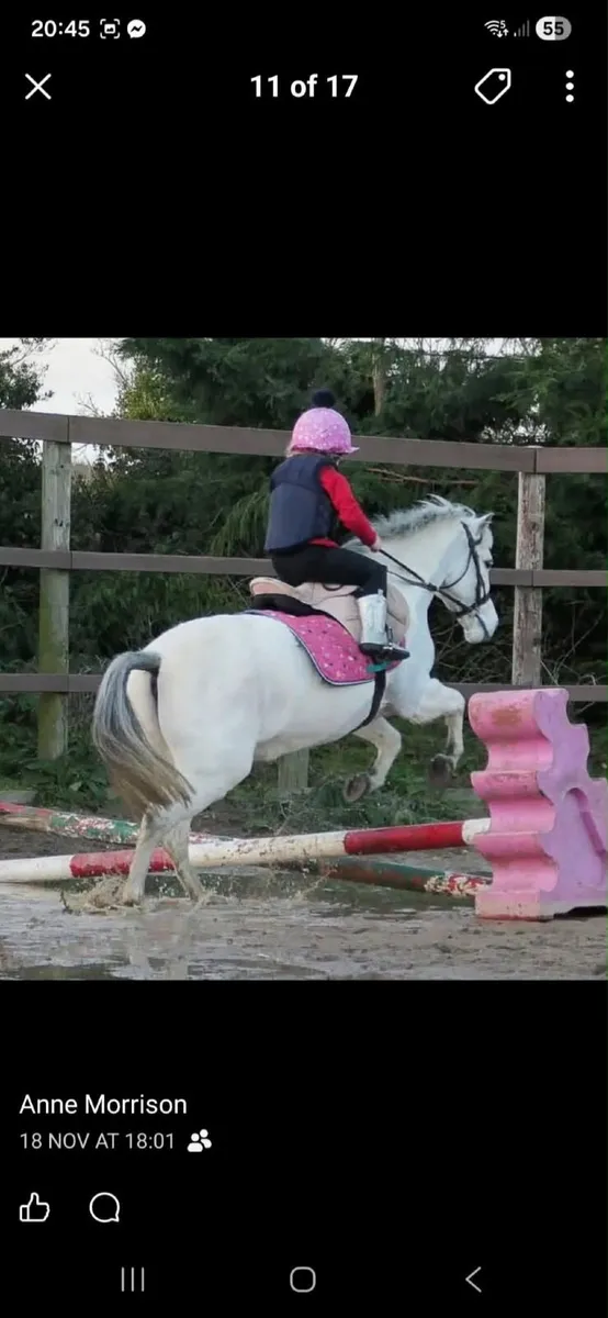 12 1hh 12 yro superstar - Image 3