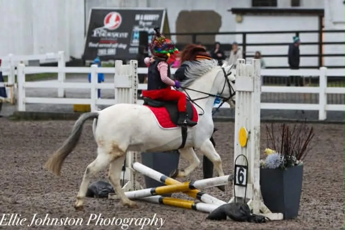 12 1hh 12 yro superstar - Image 4